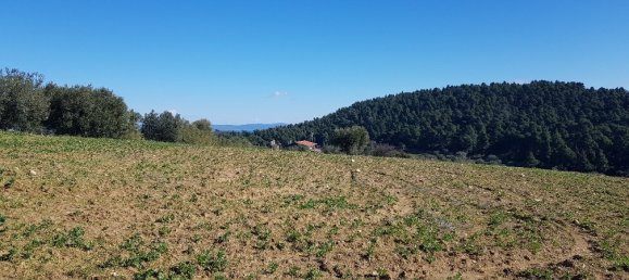 9000m² Hotel in Chalkidiki, Greece No. 4271 2