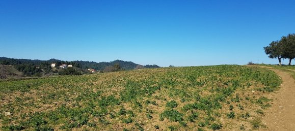 9000m² Hotel in Chalkidiki, Greece No. 4271 5