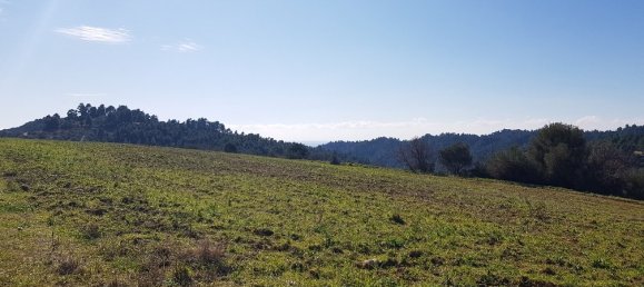 9000m² Hotel in Chalkidiki, Greece No. 4271 9