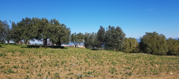 Hotel em Chalkidiki, Greece 9000 m² N.º 4271 8