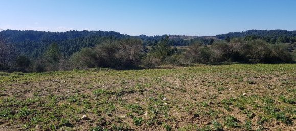 9000m² Hotel in Chalkidiki, Greece No. 4271 4