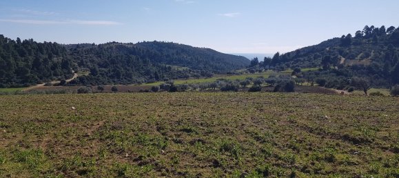 9000m² Hotel in Chalkidiki, Greece No. 4271 6