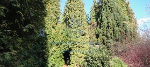 2 bedrooms House in Mittelsachsen, Germany No. 162537 23