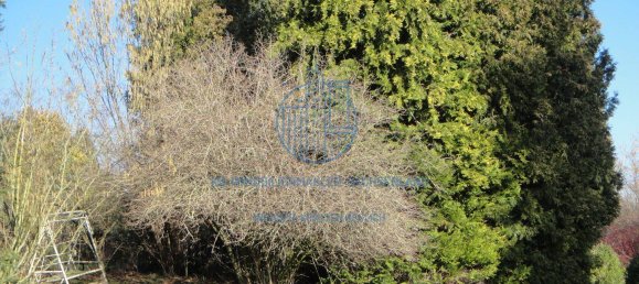 2 bedrooms House in Mittelsachsen, Germany No. 162537 24