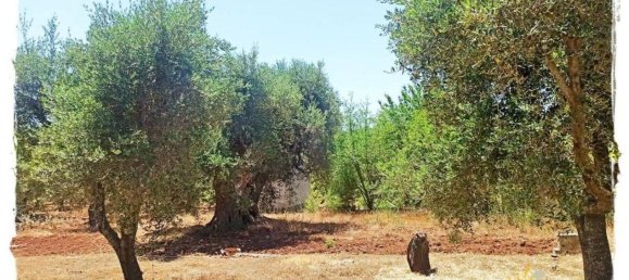 509m² Land in Ostuni, Italy No. 157743 4