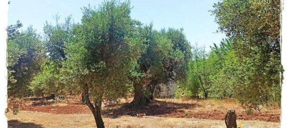 509m² Land in Ostuni, Italy No. 157743 3