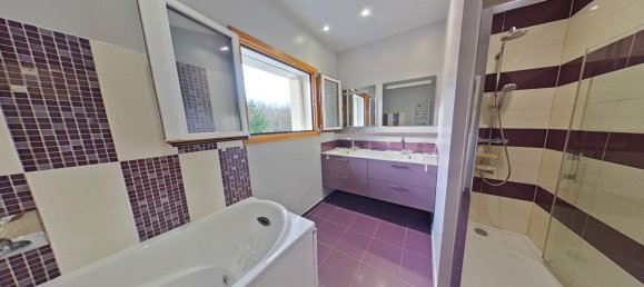 6 Schlafzimmer Villa in Arthaz-Pont-Notre-Dame, France, Nr. 198901 16