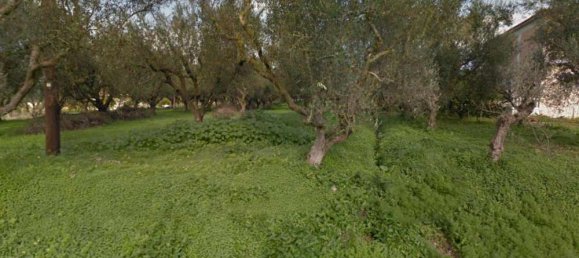 Hotel en Zakynthos, Greece No. 538 6