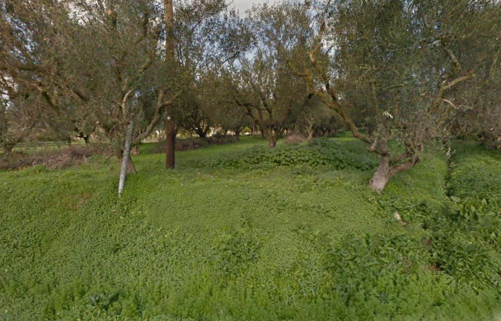 Hotel en Zakynthos, Greece No. 538