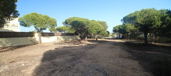 240m² Land in Almancil, Portugal No. 107363 6