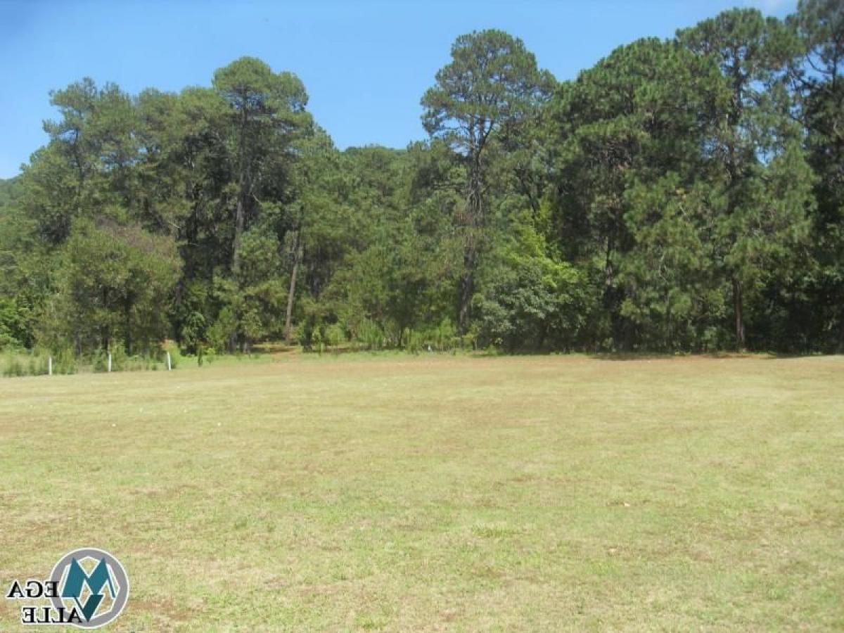 Земельный участок в Эройка Матаморос, Мексика № 206053