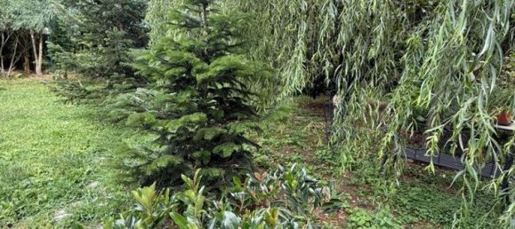 Вилла с 5 комнатами в Вербания, Италия № 273773 19