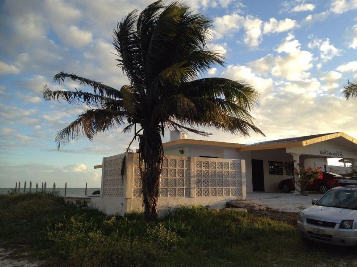 3 bedrooms House in Telchac Puerto, Mexico No. 183513