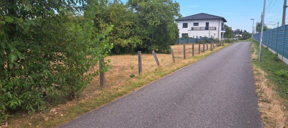 Land in Linz, Austria No. 47171 6