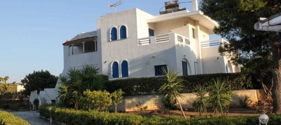4 dormitorios propiedad comercial en venta en Legrena, Lavreotiki, East Attica, Attica, Greece № 56851 6