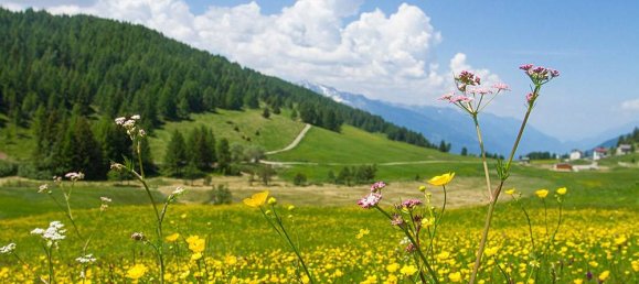 2 غرف نوم شقة في Aprica, Italy رقم 375124 30