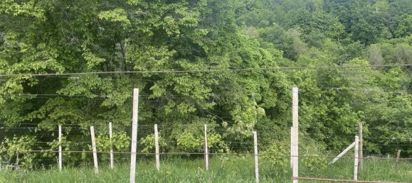 Casa de 4 habitaciónes en Maser, Italy No. 234385 13