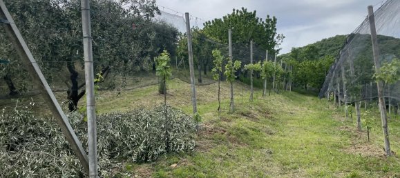 Casa de 4 habitaciónes en Maser, Italy No. 234385 18