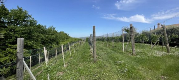 Casa de 4 habitaciónes en Maser, Italy No. 234385 20