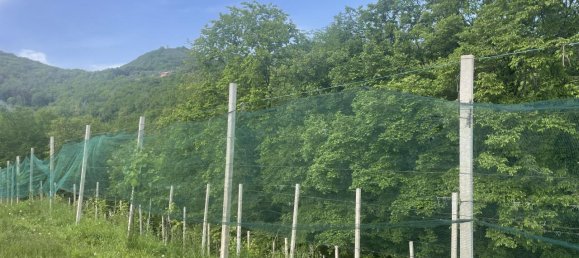 Casa de 4 habitaciónes en Maser, Italy No. 234385 10