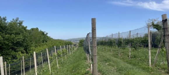 Casa de 4 habitaciónes en Maser, Italy No. 234385 8