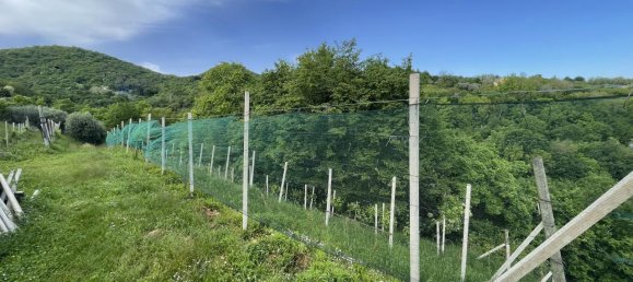 Casa de 4 habitaciónes en Maser, Italy No. 234385 15