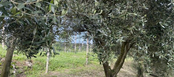 Casa de 4 habitaciónes en Maser, Italy No. 234385 21