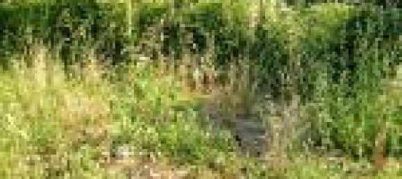 Земельный участок с 1 комнатой в Черваро, Италия № 130161 12