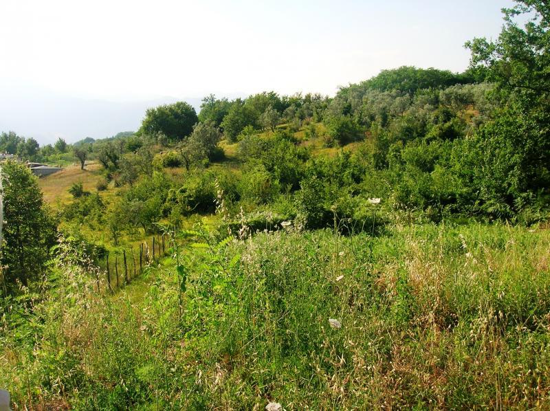 Земельный участок с 1 комнатой в Черваро, Италия № 130161