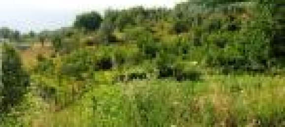 Земельный участок с 1 комнатой в Черваро, Италия № 130161 6