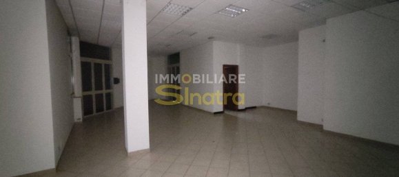 3-Zimmer Gewerbliche Immobilie in Paternò, Italy, Nr. 104183 7