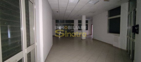 3-Zimmer Gewerbliche Immobilie in Paternò, Italy, Nr. 104183 10