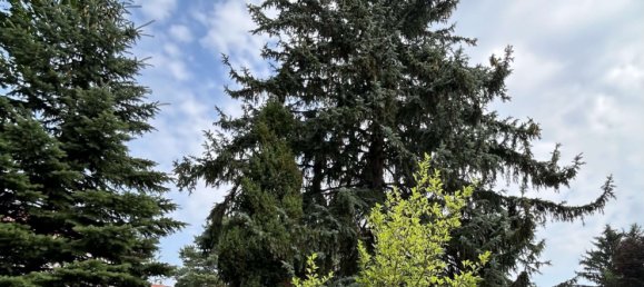 2 bedrooms House in Brandenburg, Germany No. 109118 3