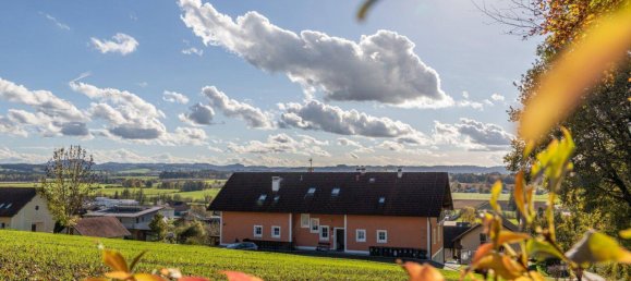 2 rooms Apartment in Kirchheim im Innkreis, Austria No. 121009 5