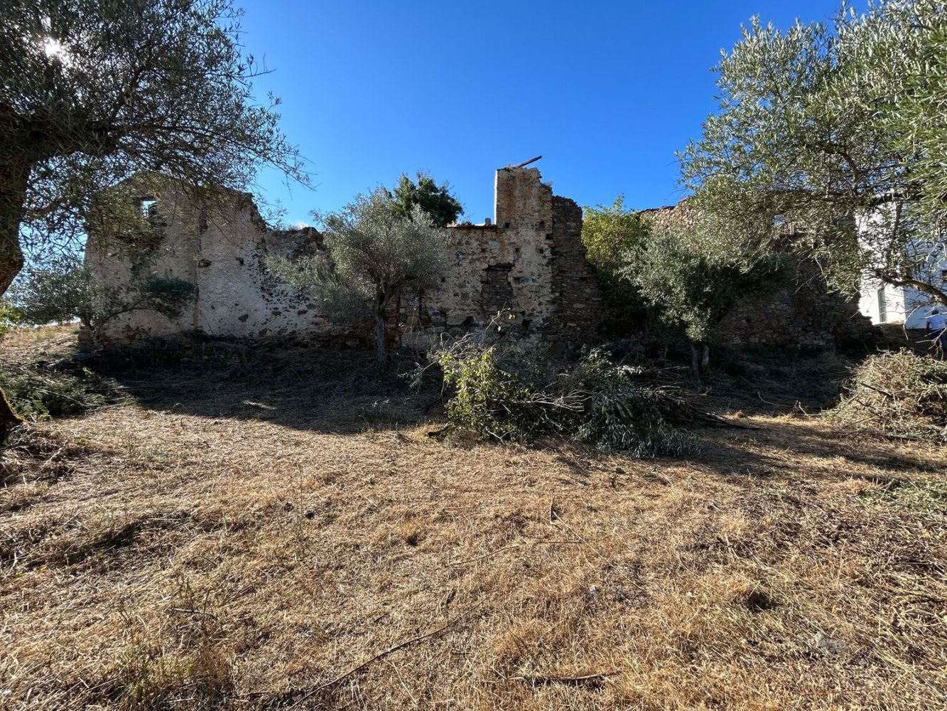 4 bedrooms House in Braganca, Portugal No. 302576