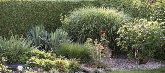 6 rooms House in Aurolzmunster, Austria No. 223397 16