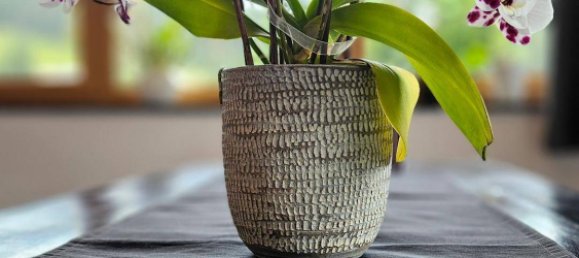 7 rooms Bungalow in Leutasch, Austria No. 203282 15