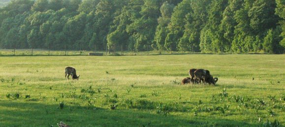 Apartamento de 2 habitaciónes en Penzing, Austria No. 247184 11