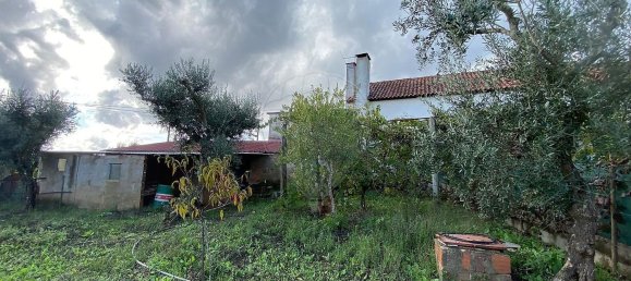 Casa T3 em Cabeçudo, Portugal N.º 42150 22