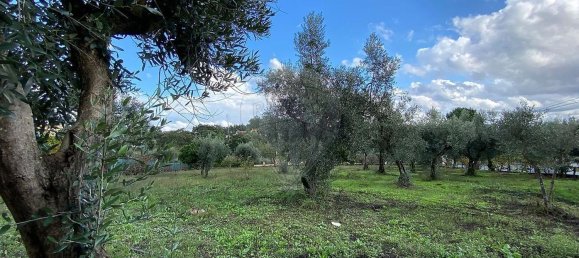 Casa T3 em Cabeçudo, Portugal N.º 42150 20