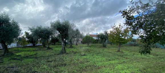 Casa T3 em Cabeçudo, Portugal N.º 42150 21