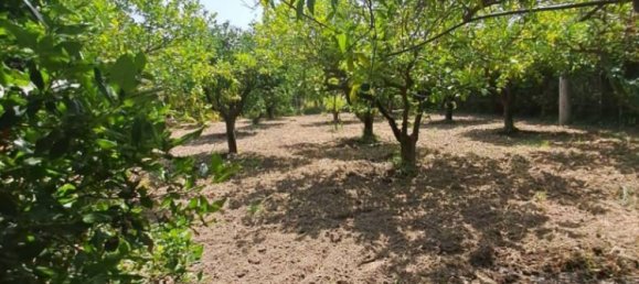 Дом с 2 спальнями в Борджа, Италия № 348011 16