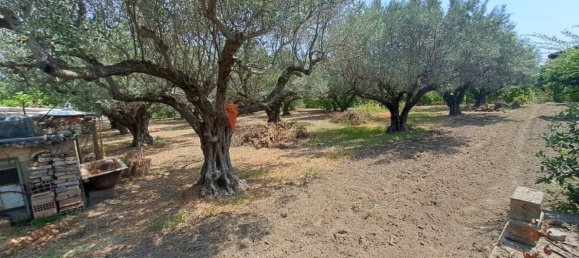 Дом с 2 спальнями в Борджа, Италия № 348011 14