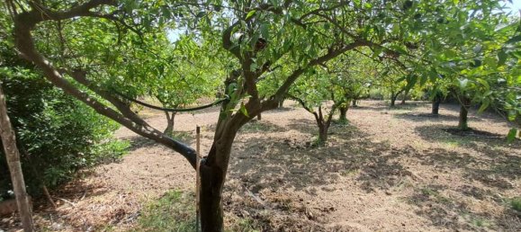 Дом с 2 спальнями в Борджа, Италия № 348011 11