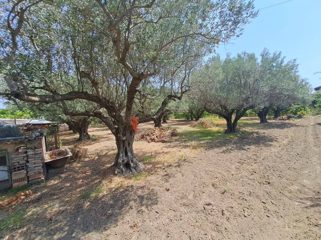 Дом с 2 спальнями в Борджа, Италия № 348011