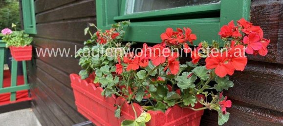 Casa de 3 habitaciónes en Seiersberg-Pirka, Austria No. 81926 11