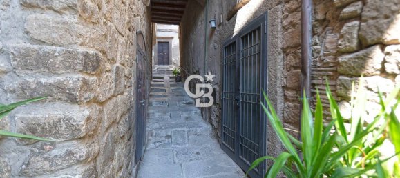 1-Zimmer Gewerbliche Immobilie in Viterbo, Italy, Nr. 276366 2