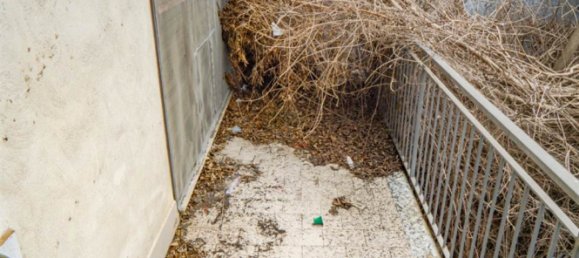 1 room Commercial property in Santa Venerina, Italy No. 282788 19