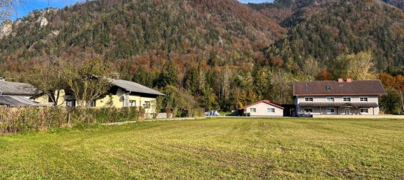 Terrain à Scharnstein, Austria No. 75736 4