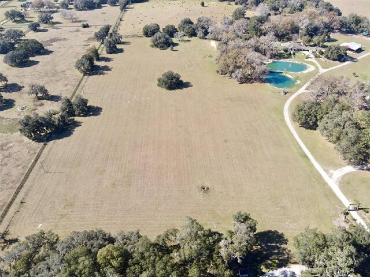  Land in Ocala, USA No. 475676